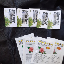 Auto Mazar Feminised