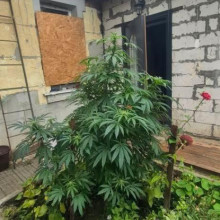 Space Power Feminised