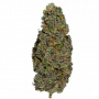 Cannabis seed variety Out Of Space Feminized