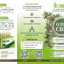 CBD oil 1000 mg 10%