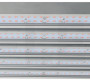 Led Light