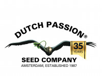 Dutch Passion