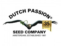 Dutch Passion