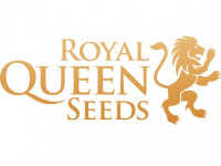 ROYAL QUEEN SEEDS