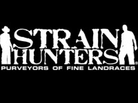 Strain Hunters