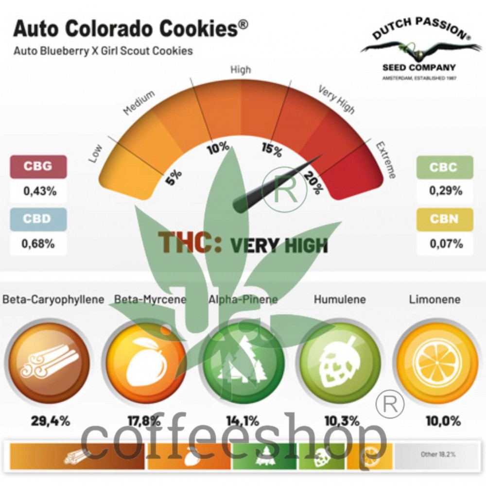 Auto Colorado Cookies feminised