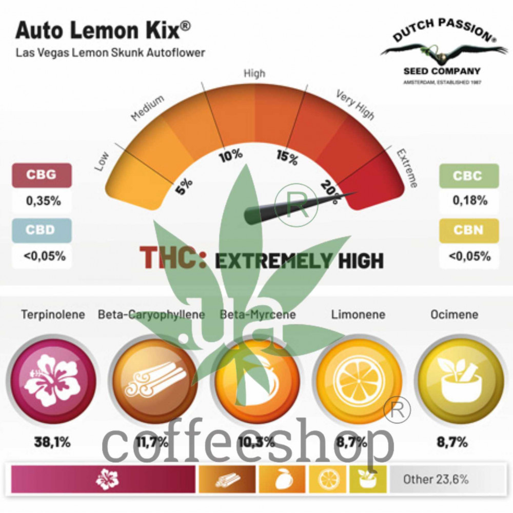 Auto Lemon Kix ( Auto Lemon Zkittle ) feminised