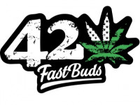 Fast Buds