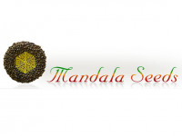 Mandala Seeds