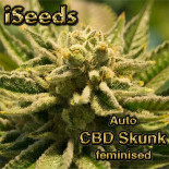 Auto CBD Skunk feminised