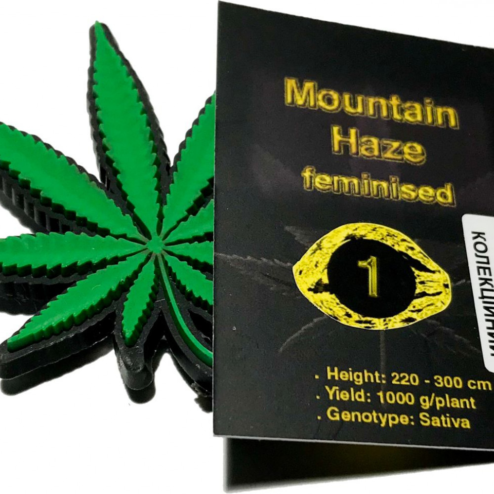 Mountain Haze feminised