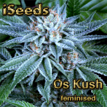 Os Kush Feminised