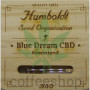 Blue Dream CBD