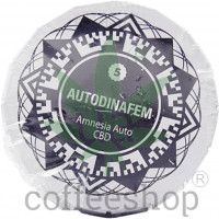 Auto Amnesia CBD Feminised