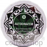 Auto Blue Amnesia XXL Feminised