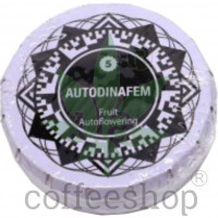 Auto Fruit Feminised