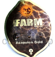 Acapulco Gold Feminised