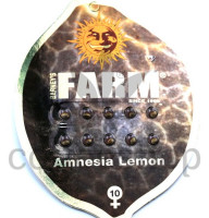 Amnesia Lemon Feminised