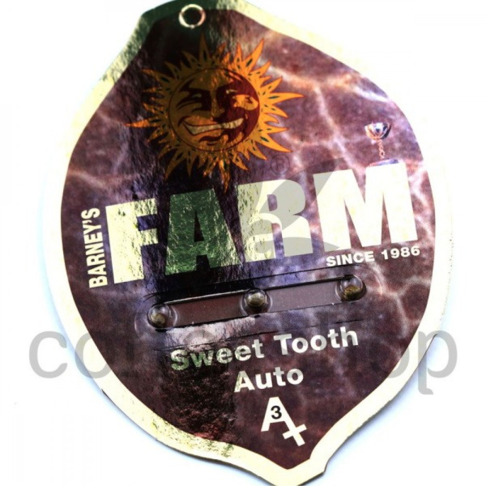 Auto Sweet Tooth Feminised
