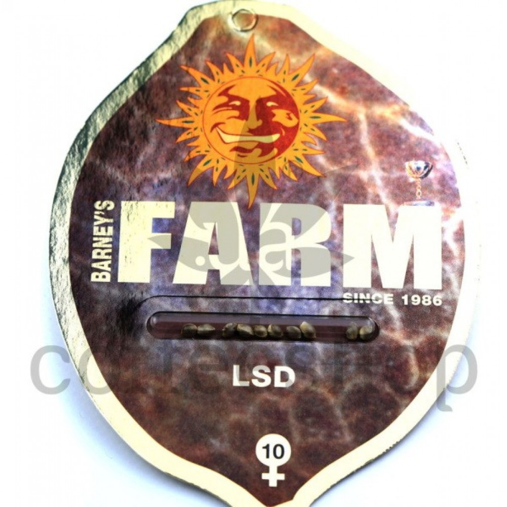 LSD Feminised Barneys Farm
