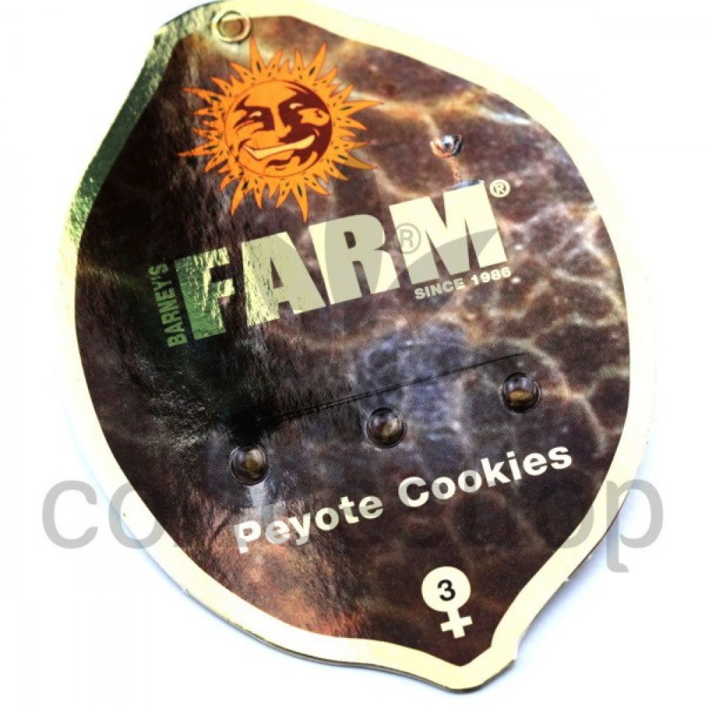 Peyote Cookies Feminised