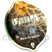 Red Dragon Feminised