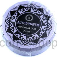 Auto Amnesia XXL Feminised