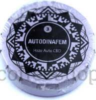 Auto Haze CBD Feminised