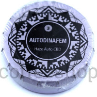 Auto Haze CBD Feminised