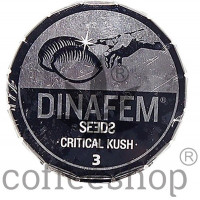 Critical Kush Feminised Dinafem