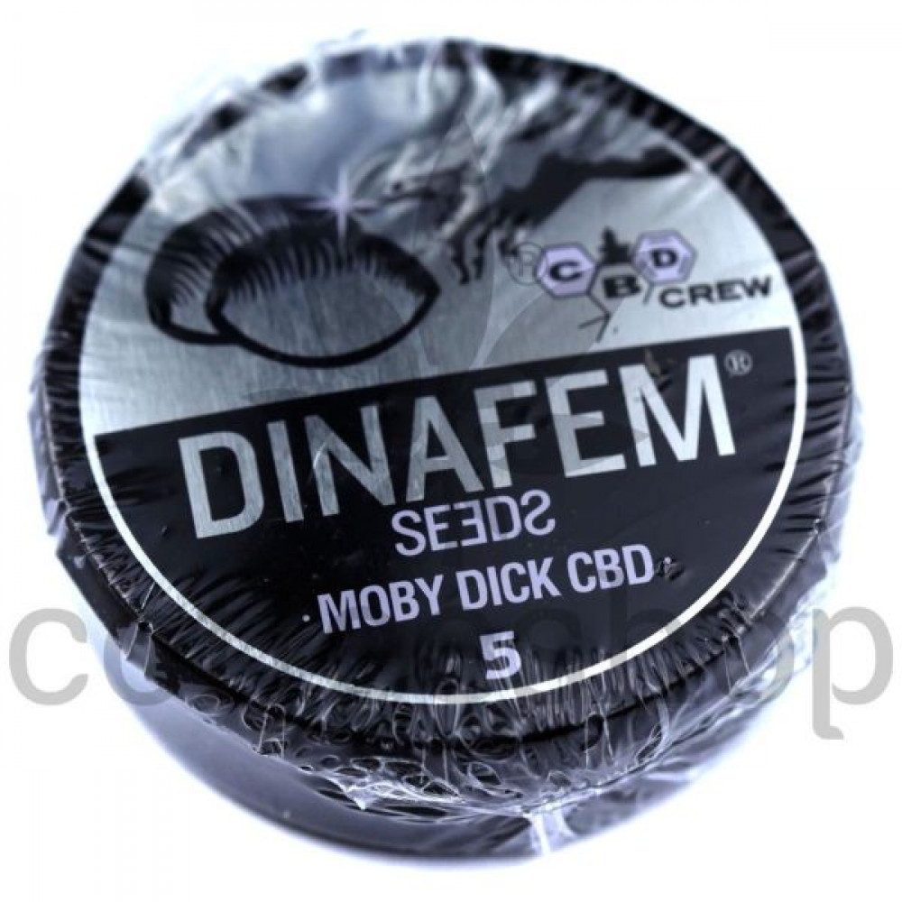 Moby Dick CBD Feminised