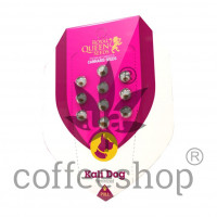 Kali Dog feminized
