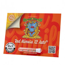 RED MIMOSA XL AUTO®