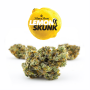 Cannabis seed variety Lemon Skunk Feminised Silver