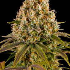 Strawberry Lemonade
