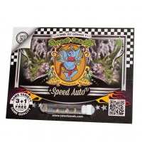 +SPEED AUTO®