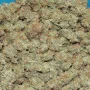 Насіння конопель Original AUTO CHEESE від Fast Buds