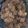 Cannabis seeds TROPICANA Cookies Auto from Fast Buds
