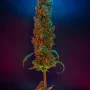 Cannabis seed variety Divine OG Kush