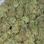 Сорт семян каннабиса Northern Lights