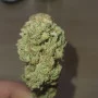 Семена конопли Original AFGHAN KUSH Auto от Fast Buds