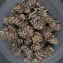 Насіння конопель BISCOTTI GELATO™ від Fast Buds