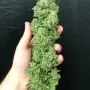 Семена конопли LEMON PIE Auto от Fast Buds