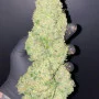 Насіння конопель Original AUTO CHEESE від Fast Buds