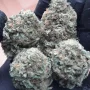 Семена конопли LEMON CHERRY RUNTZ ™ от Fast Buds