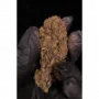 Насіння конопель GG4 ™ (Gorilla Glue) від Fast Buds