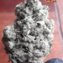Насіння конопель BISCOTTI GELATO™ від Fast Buds