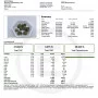 Cannabis seeds GORILLA Z Auto (GORILLA Zkittlez Auto) from Fast Buds