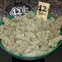 Cannabis seeds Original AUTO OG KUSH from Fast Buds