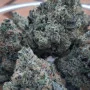 Насіння конопель RAINBOW MELON ™ від Fast Buds